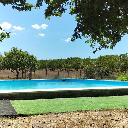 Rod Ranch Livestock - Stanza Doppia Con Letti Singoli Villa Campagnano Di Roma Bagian luar foto